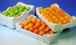 oranges in polystyrene box